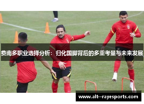 费南多职业选择分析：归化国脚背后的多重考量与未来发展