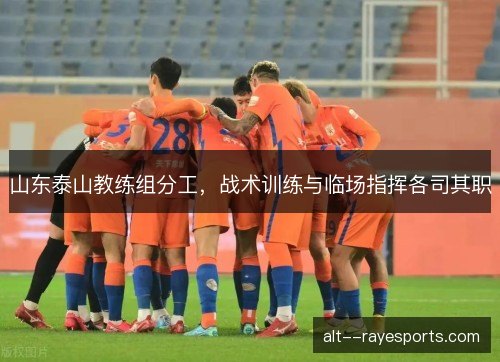 山东泰山教练组分工，战术训练与临场指挥各司其职